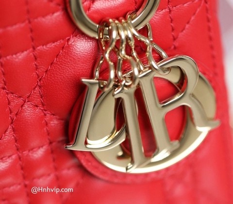 MINI LADY DIOR 백 클라우드 레드 까나쥬 양가죽