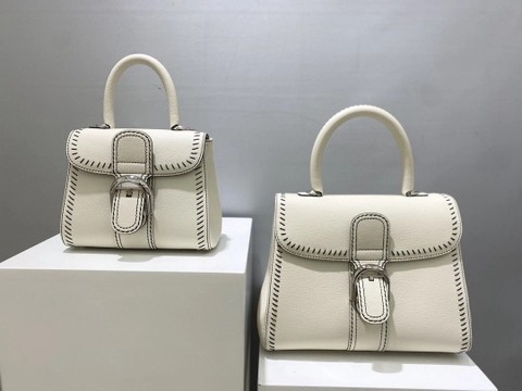 Delvaux Brillant PM 플라이휠 2021 화이트