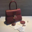 Delvaux Brillant MM 로데오 송아지 가죽 로즈우드