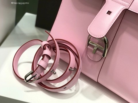 Delvaux Brillant MM 박스 카프 핑크